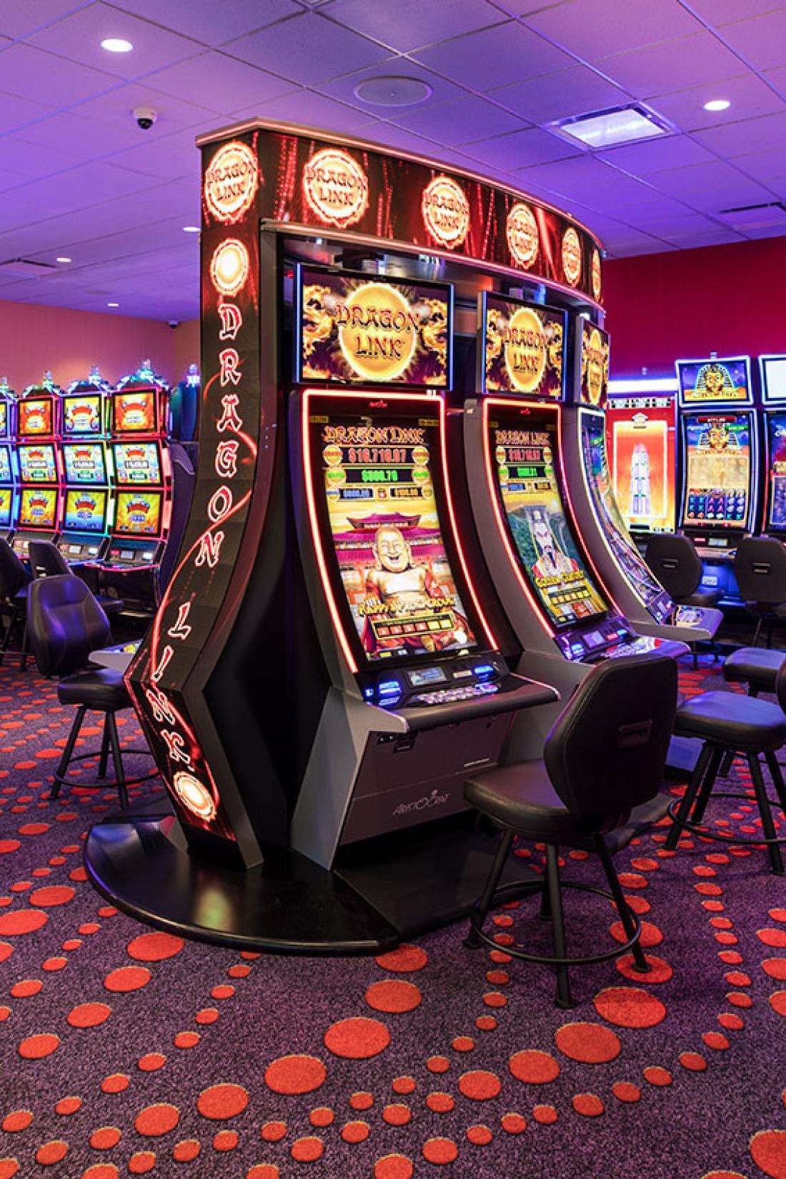 Cricket ball and laptop showing a match